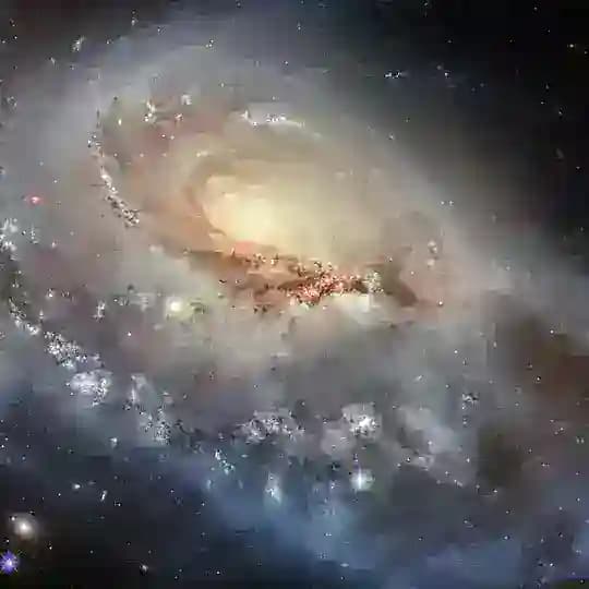 VERIFIED CONTEST Proof Profile