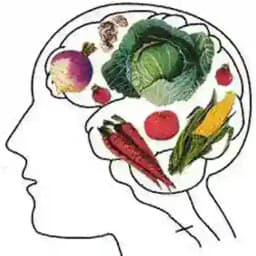 VIDA VEGETARIANA Profile