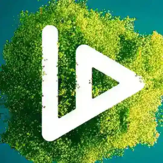 VIDT TRUTH MACHINE Profile