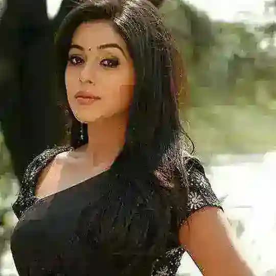 PIRO FILES HOLLYWOOD BOLLYWOOD SOUTH CINEMA Profile