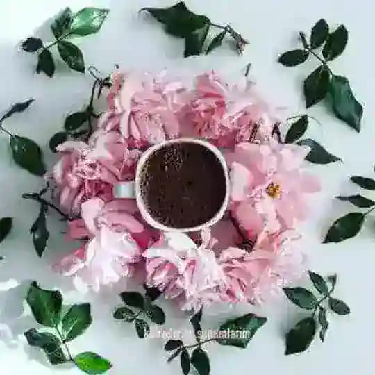 Voice 🇵🇹🇧🇷 Portuguese Dramat PUBLIC Profile