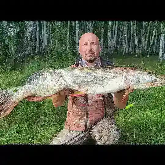 Омская рыбалка Profile