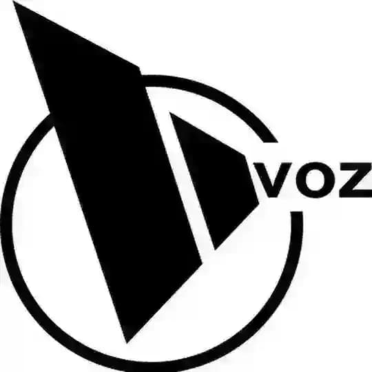 VOZ - Đu Đỉnh Nghìn Năm Profile