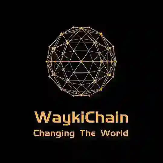 WaykiChain France A world leading public chain and Defi ecosystem Profile
