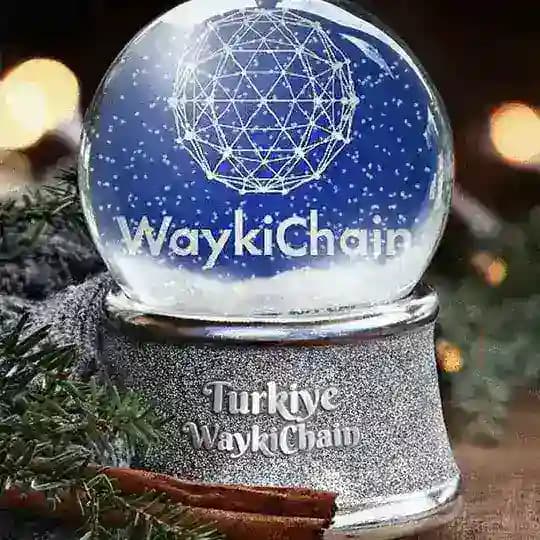 Waykichain Turkiye World Cup 2022 Profile