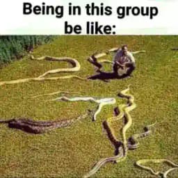 Bhediya - Ek Khel Profile