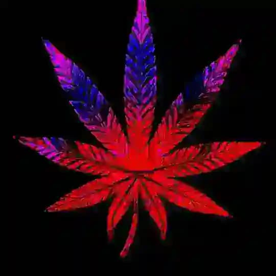 ωųяεɱų ɠεŋɠ🔞🍑🔥🌚👅❌💦 Profile