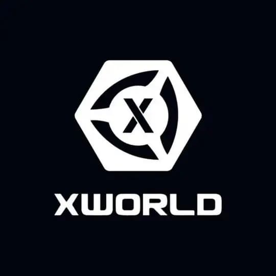 XWorld Global Group Profile