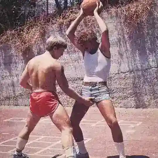 Средиземноморские сосны Profile