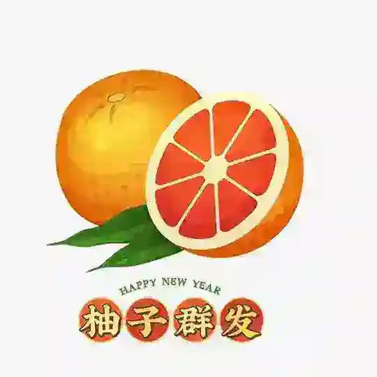 柚子工作室飞机拉人群发私信营销软件 Profile