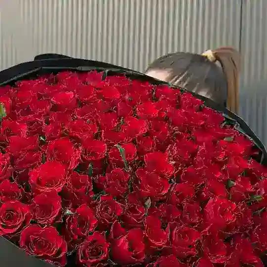 Спонсоры содержанки Одесса👍👍👍🔞🔞🔞 Profile