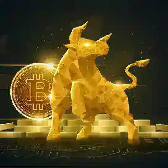 اكتتابات العملات الجديد (IPO) Profile