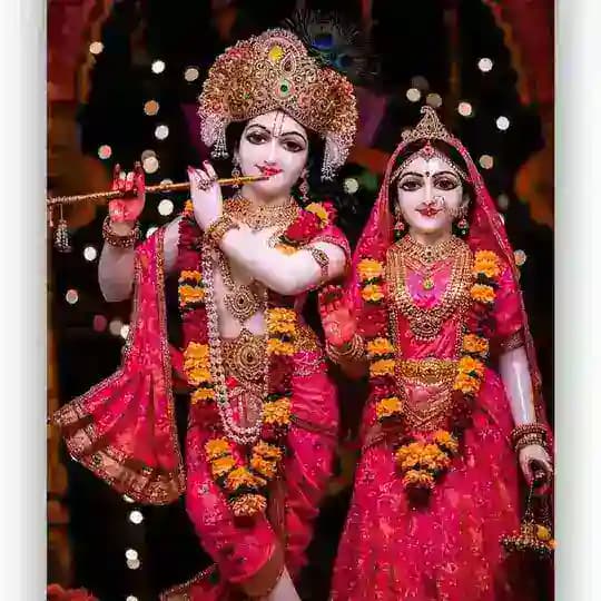 Malik✌️Bhai Satta✌️King ❤️ Profile