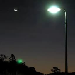 𝗠𝗶𝗱𝗻𝗶𝗴𝗵𝘁 𝗧𝗮𝗹𝗸 Profile