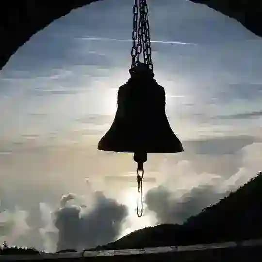 Приемная Зама Chat Profile