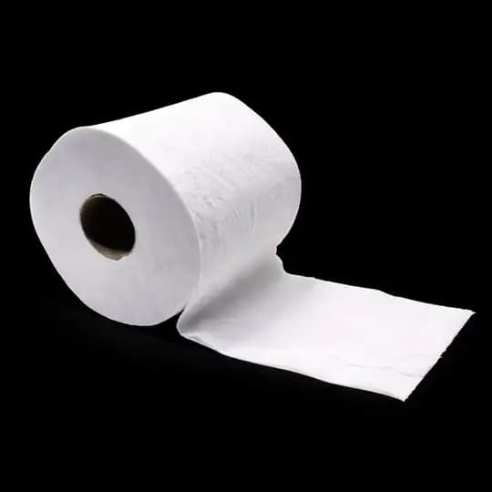 Toilet Paper | Chat Profile