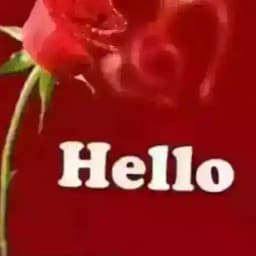 All Grade11 $ 12 Social science Profile