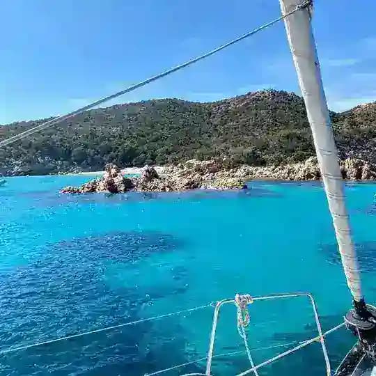 Digitized Health Conference - Nice France Profile