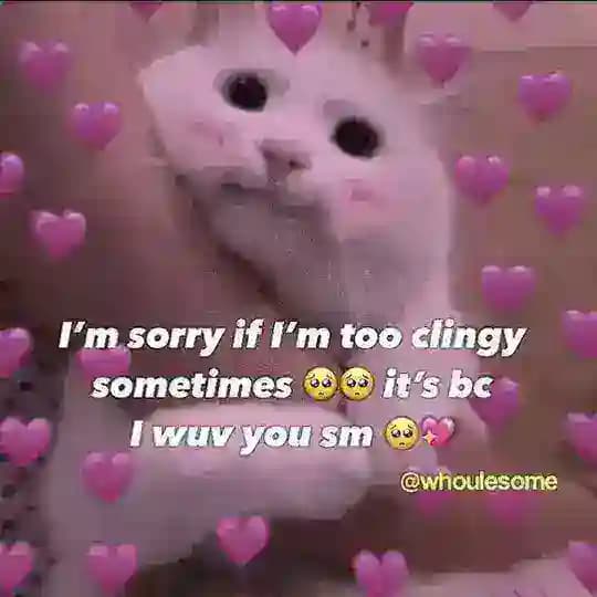 World wide channel Profile