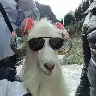 Film by kartikey Profile