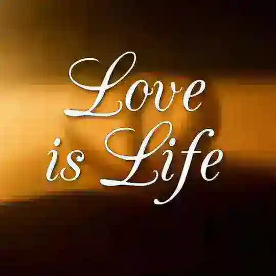 🤝🏻அன்பு தான்👥வாழ்க்கை💖 Profile