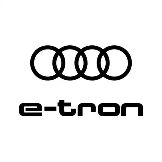 Audi e-tron Italia 🇮🇹 Profile
