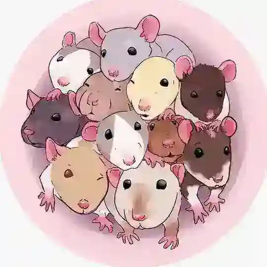 Austerityy twitch🤍 Profile