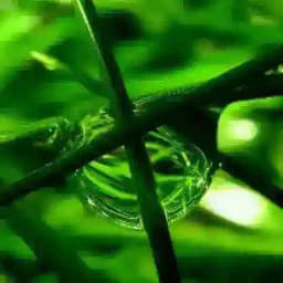 Kimyo va Bialogiya Profile