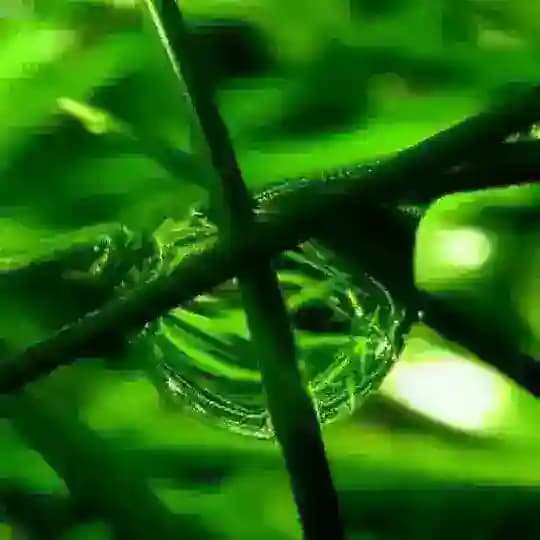 Kimyo va Bialogiya Profile