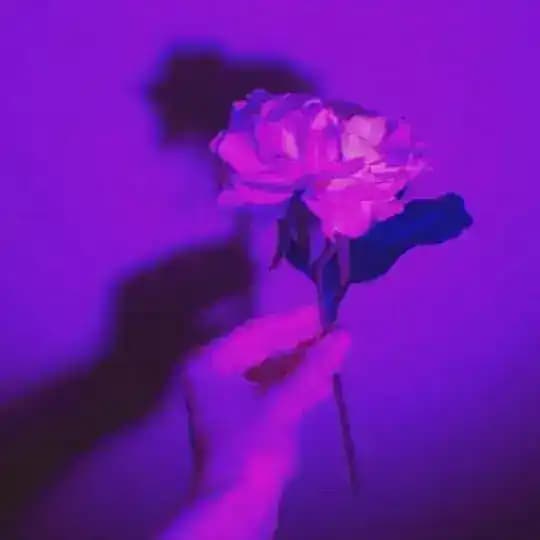 TBT_comments Profile