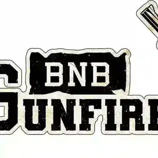 BNB Gun Fire CN 币安枪手 Profile