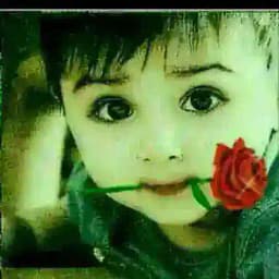 ✺ ┄অঠই ƙơ¢ɧąɖą ƙơɬɬą ცơιɠąŋ... ƙơ¢ɧą ცơιąʂı. ঠঅ┄ ✺͜ Profile