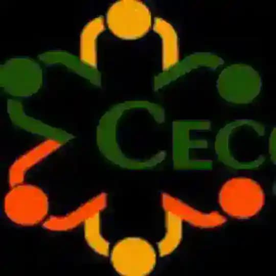 Cecosesola Ruiz Pineda Profile