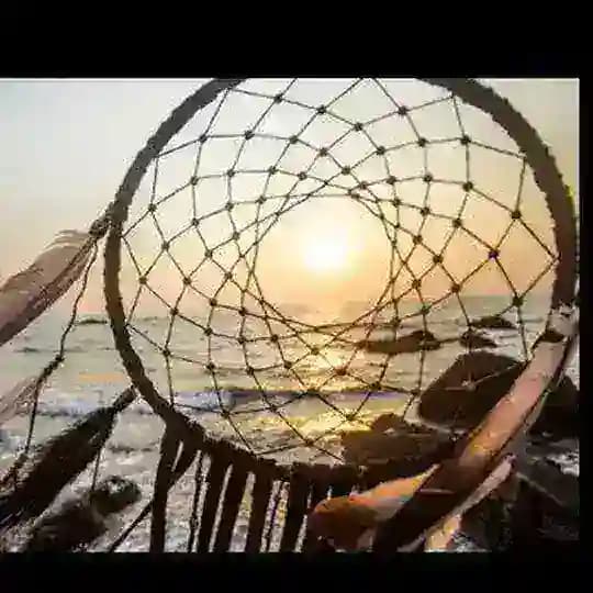 Chamanismo y Espiritualidad Profile