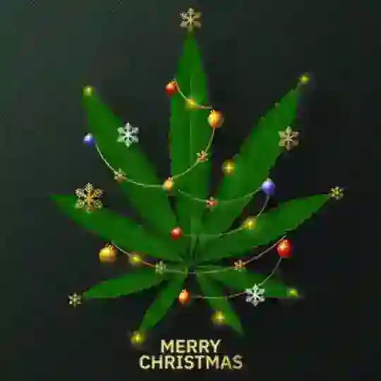 🎄Christmas Gift🎄 Profile