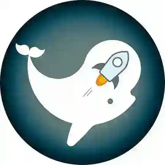 Belugers 🐳 (ES) Profile