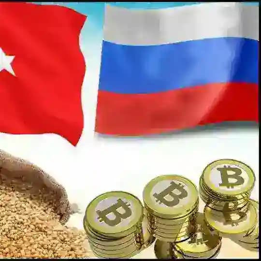 Crypto Turkey Chat Profile