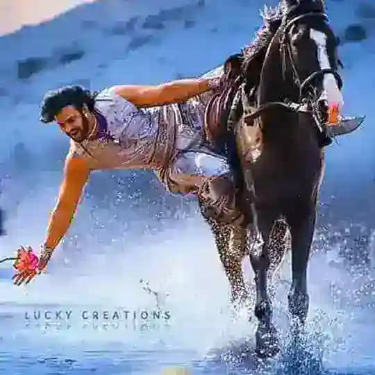 ప్రభాస్ ఫ్యాన్స్ క్లబ్ Profile