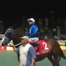 永續不打鞭贏馬騎師韋達！ Profile