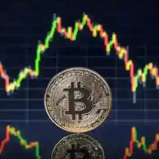 EXCEL BIT ONE Profile