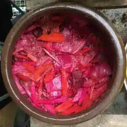 Fermentation - Fragen, Tauschen, Teilen Profile