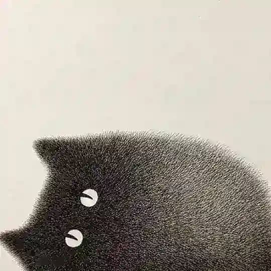 FilmSpotChat Profile