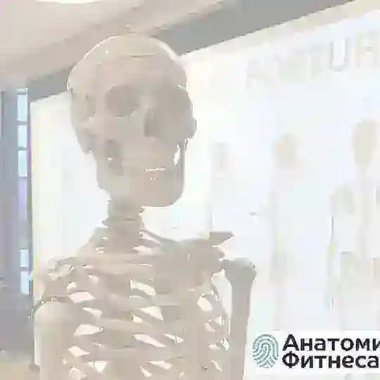 ФИТНЕС и ДВИЖЕНИЕ: вакансии, обмен опытом, законодательство Profile