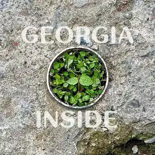 Грузия внутри Chat Profile