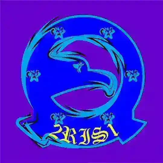 2𝖗𝖎𝖘1 𝖕𝖗𝖔 Profile