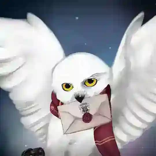 🦉HP:Wizards Unite Kyiv Profile