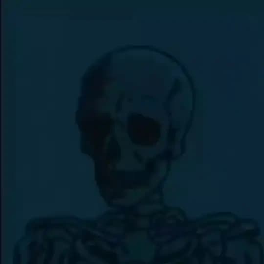 𝓗𝓔𝓓𝓔𝓕𝓢İ𝓩𝓛𝓔𝓡 Profile