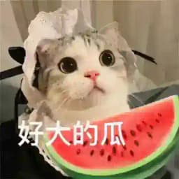 吃瓜新闻 海外曝光 搞笑视频 内涵段子 吃瓜群众 Profile