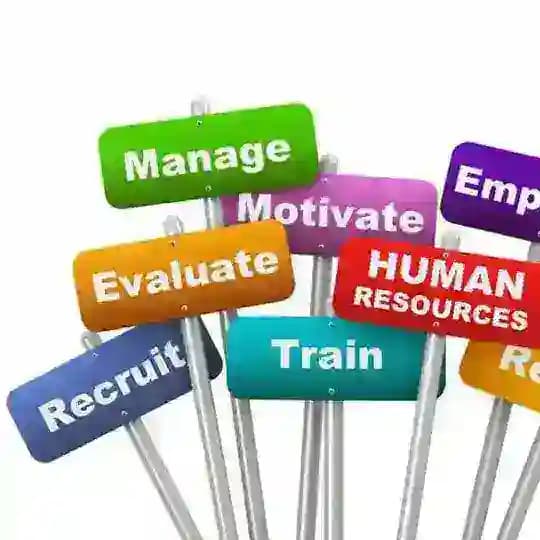 HR & рекрутери України Profile