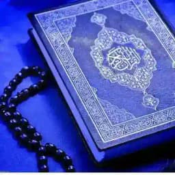 موسسه صیغه یابی و همسر یابی کوثر💍💍 Profile